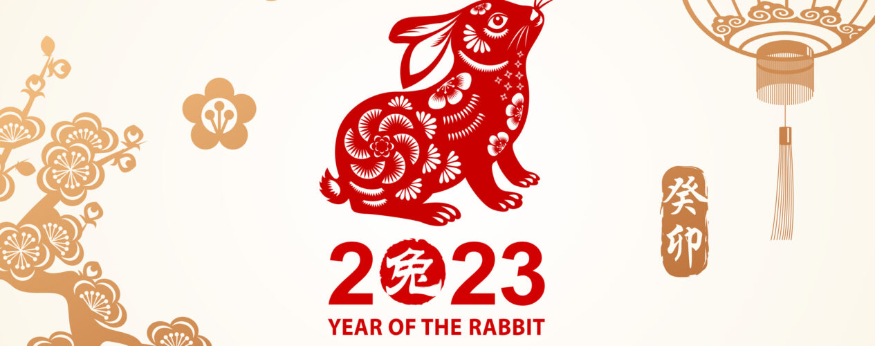 Lunar NEW YEAR 2023 Hopping Year Rabbit